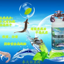 2018水产消毒剂市场行情、报价及批发渠道概览——聚焦养殖网资讯